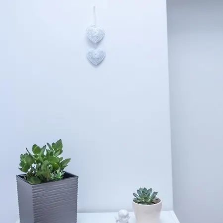 Apartament Anelli